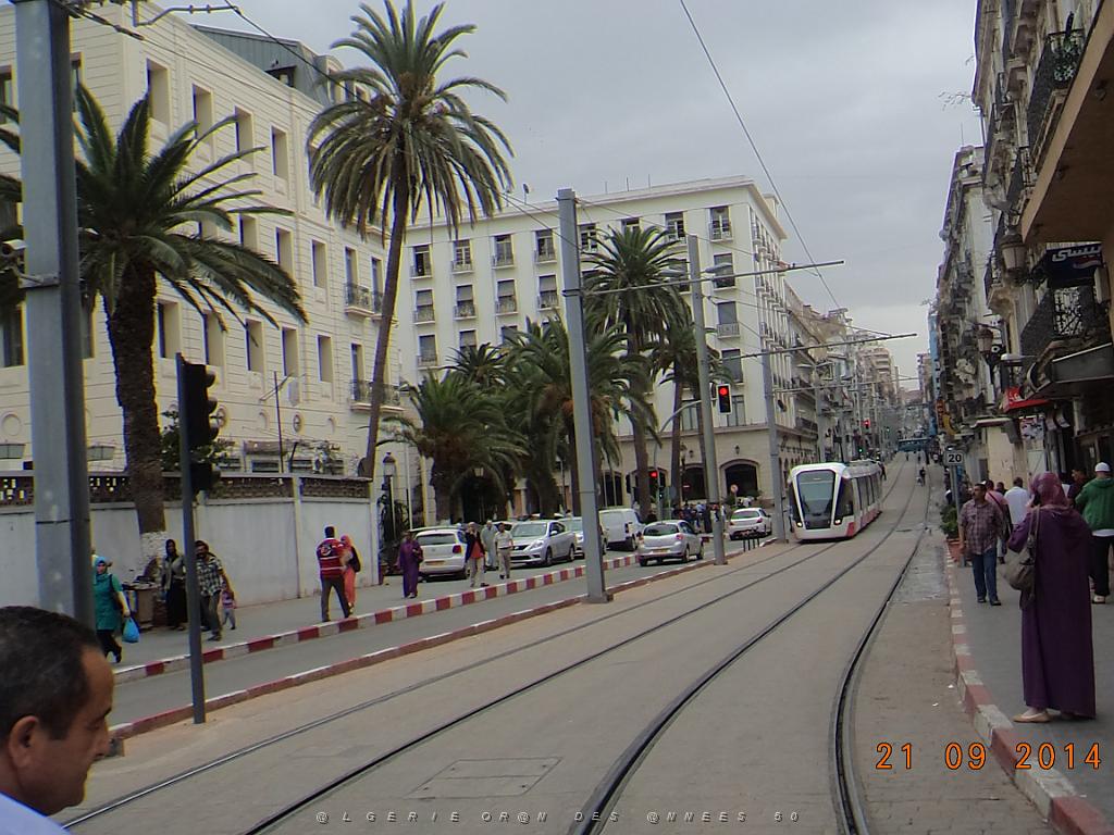 52-Le tramway d'Oran.JPG -                                
